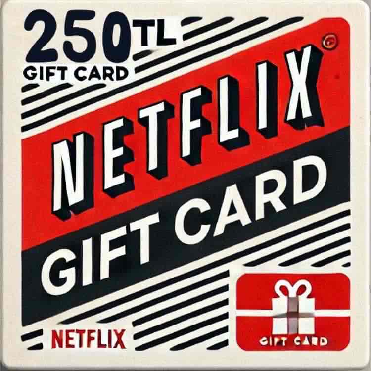 Netflix 250 TL