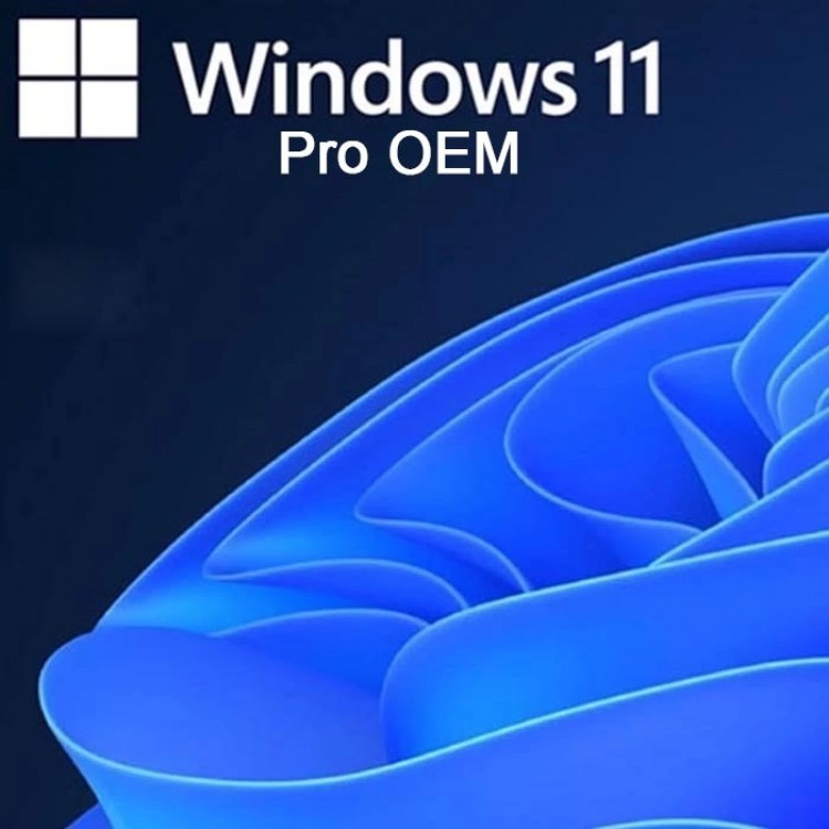 Windows 11 Pro OEM license Windows 11 Pro OEM operating system Windows 11 Pro OEM security Windows 11 Pro OEM BitLocker Windows 11 Pro OEM modern interface