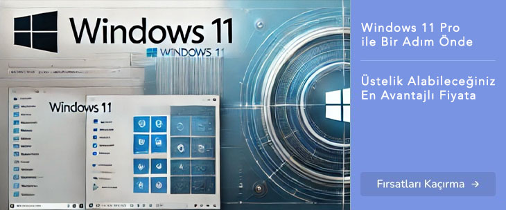 Windows 11 Professional Satın Al